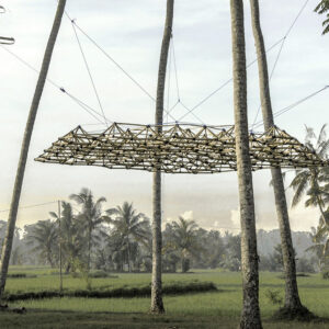 markus_schaller_latticex-crop-u176942_2x